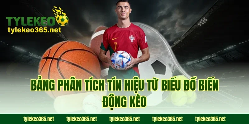 Bảng Phân Tích Tín Hiệu Từ Biểu Đồ Biến Động Kèo