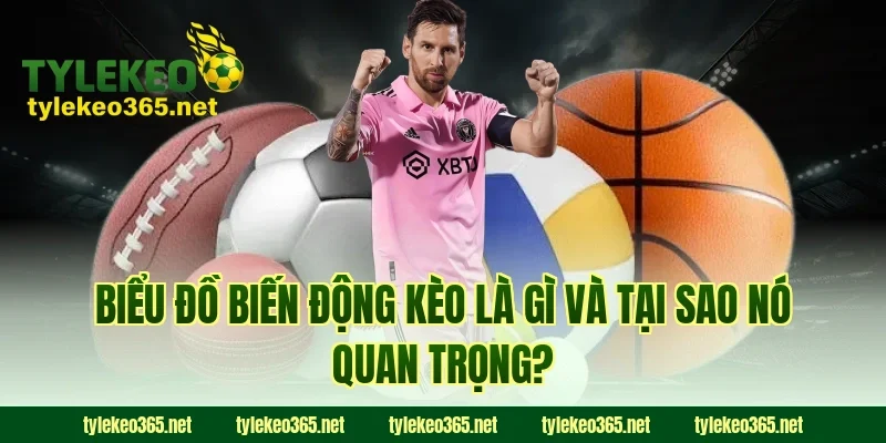 Biểu Đồ Biến Động Kèo Là Gì Và Tại Sao Nó Quan Trọng?