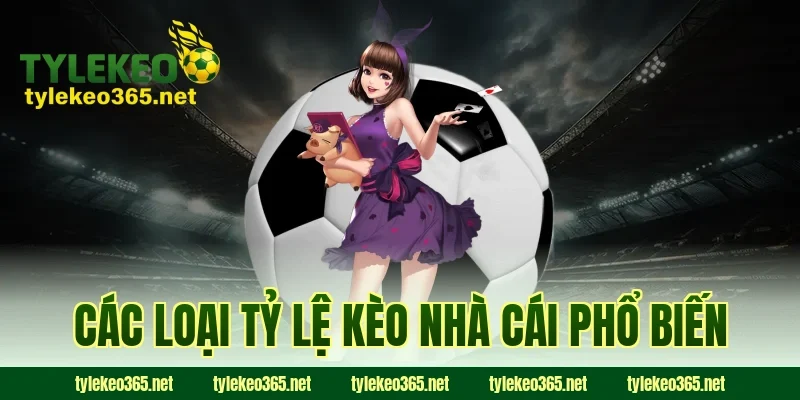 Các loại tỷ lệ kèo nhà cái phổ biến