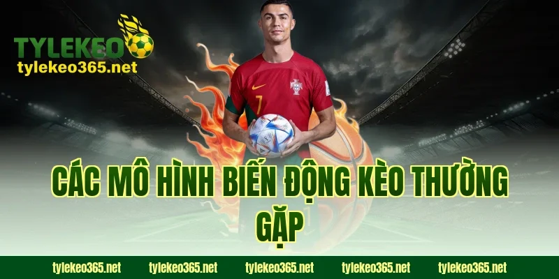 Các Mô Hình Biến Động Kèo Thường Gặp