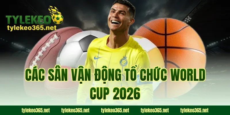 Các sân vận động tổ chức World Cup 2026