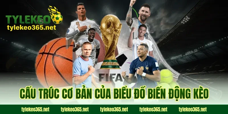 Cấu Trúc Cơ Bản Của Biểu Đồ Biến Động Kèo