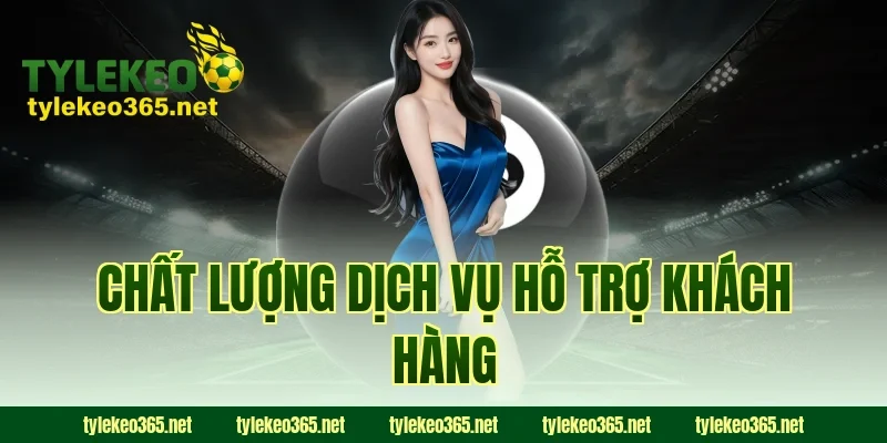 Chất Lượng Dịch Vụ Hỗ Trợ Khách Hàng