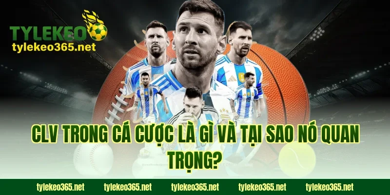 CLV Trong Cá Cược Là Gì Và Tại Sao Nó Quan Trọng?
