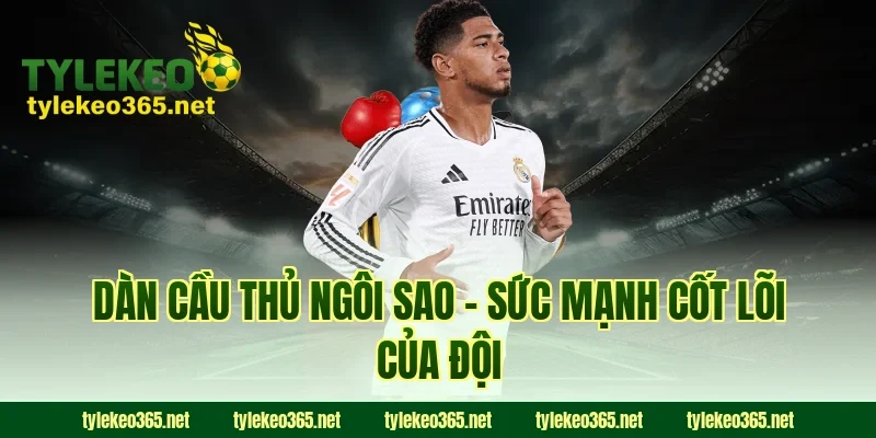 Dàn Cầu Thủ Ngôi Sao – Sức Mạnh Cốt Lõi Của Đội