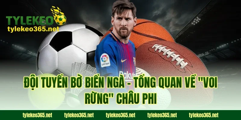 Đội Tuyển Bờ Biển Ngà – Tổng Quan Về "Voi Rừng" Châu Phi