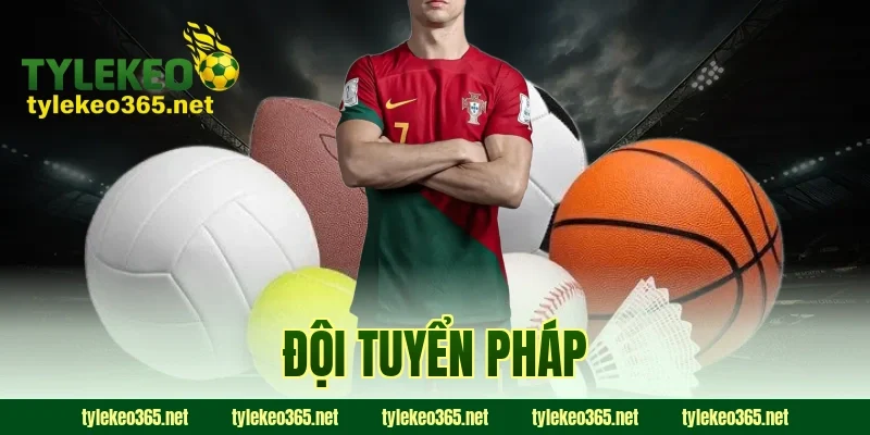 đội tuyển Pháp