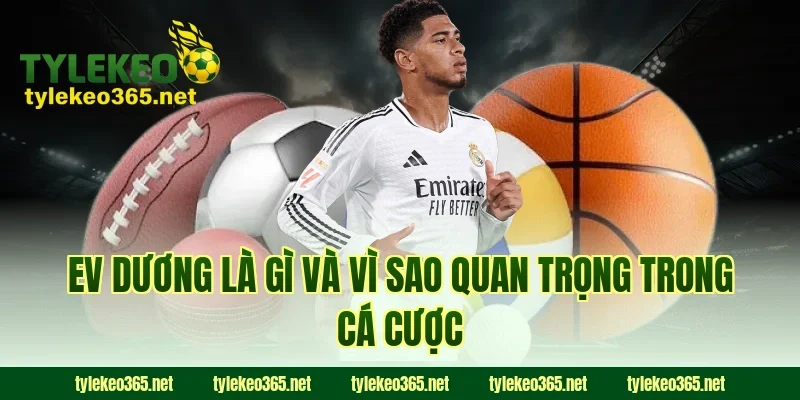 EV dương là gì và vì sao quan trọng trong cá cược