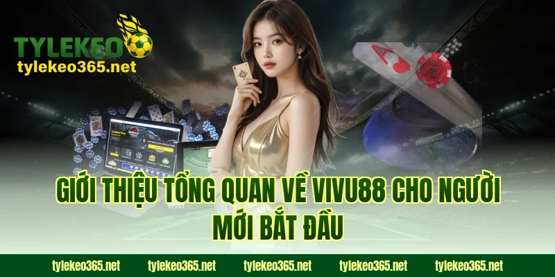 Giới thiệu tổng quan về VIVU88 cho người mới bắt đầu