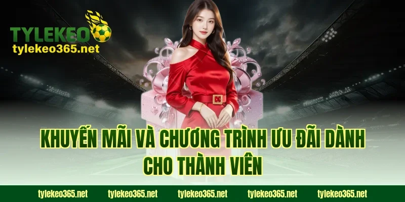 Khuyến Mãi Và Chương Trình Ưu Đãi Dành Cho Thành Viên