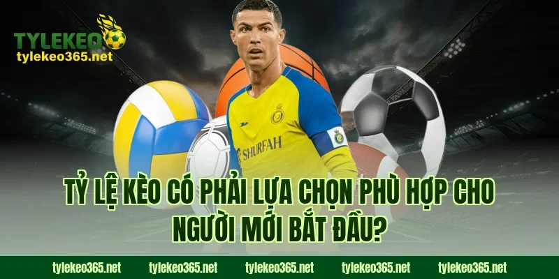 Tỷ lệ kèo có phải lựa chọn phù hợp cho người mới bắt đầu?